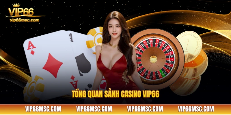 Tổng quan sảnh casino VIP66