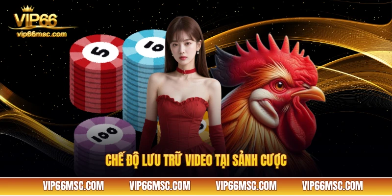Chế độ lưu trữ video tại sảnh cược