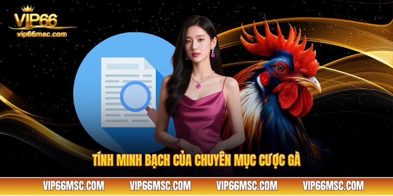 Tính minh bạch của chuyên mục cược gà