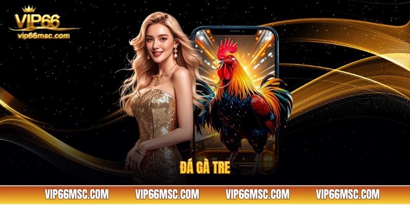 đá gà tre