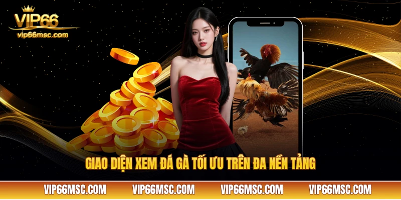 Giao diện xem đá gà tối ưu trên đa nền tảng