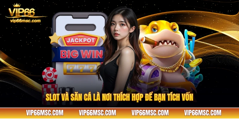 Slot và săn cá là nơi thích hợp để bạn tích vốn