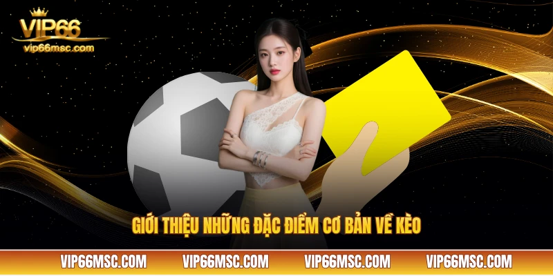 Giới thiệu những đặc điểm cơ bản về kèo VIP66