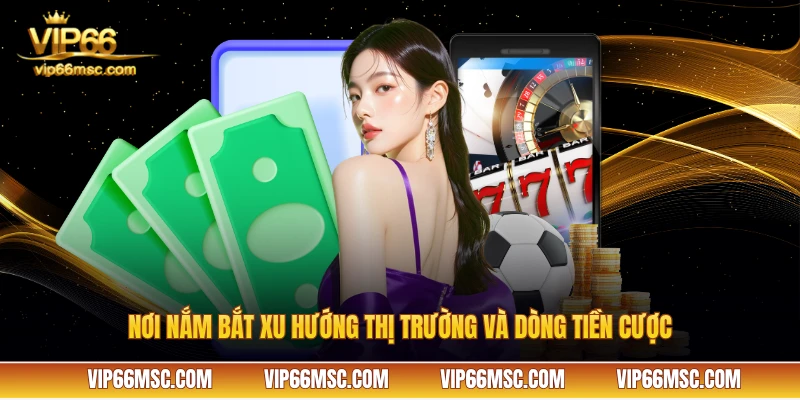 Nơi nắm bắt xu hướng thị trường và dòng tiền cược