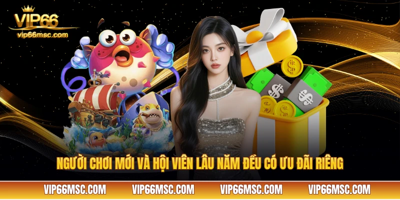 Người chơi mới và hội viên lâu năm đều có ưu đãi riêng