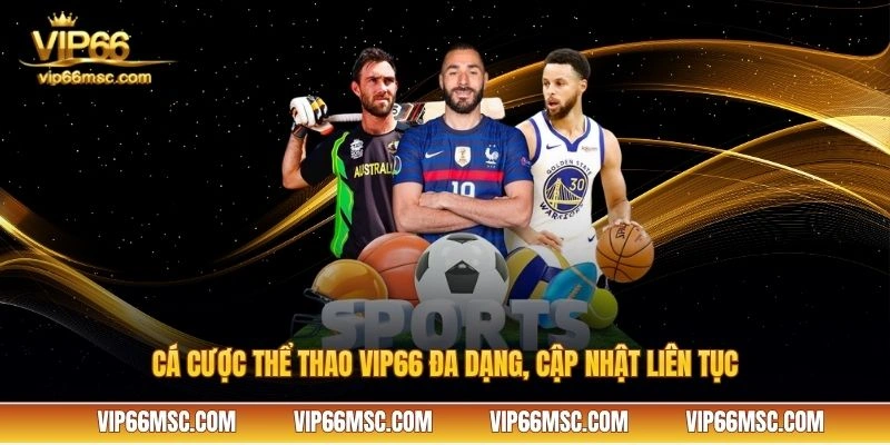 Cá cược thể thao VIP66 đa dạng, cập nhật liên tục