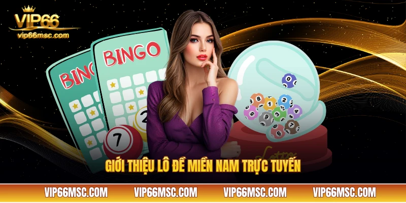 Giới thiệu lô đề miền Nam trực tuyến VIP66