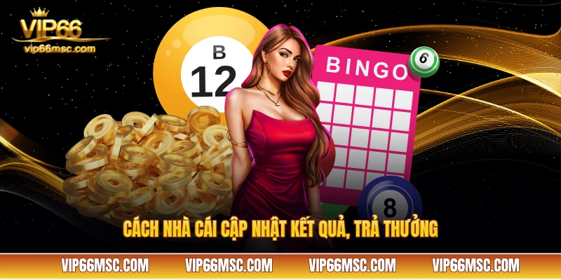 Cách nhà cái cập nhật kết quả, trả thưởng